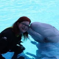 A beluga whale approaching Judy Rohlin for a gentle kiss underwater